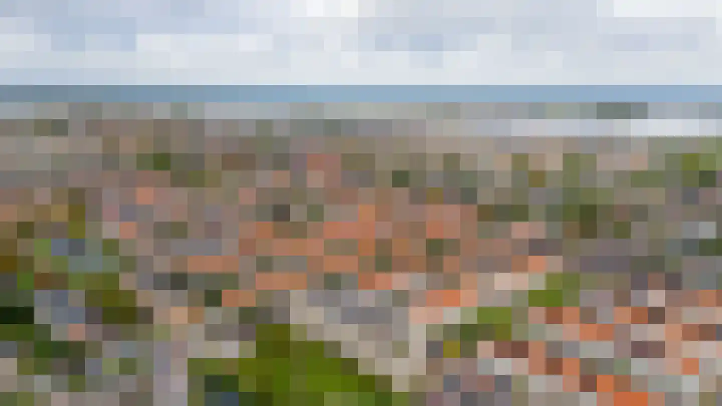 van den Binckhorststraat 2 's-Gravenzande thumbnail 38