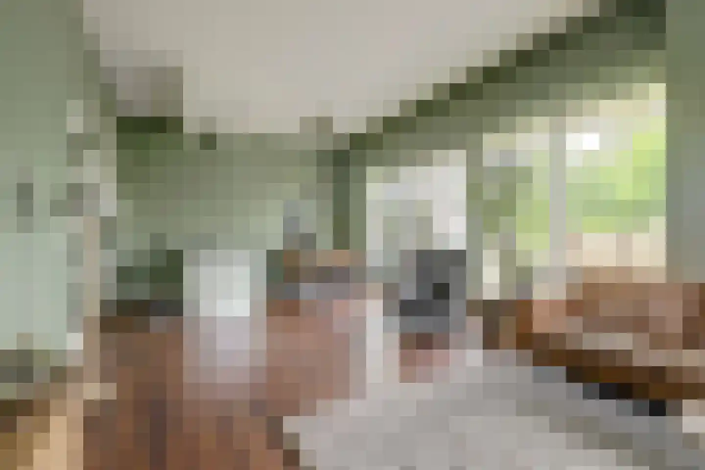 van den Binckhorststraat 2 's-Gravenzande thumbnail 4