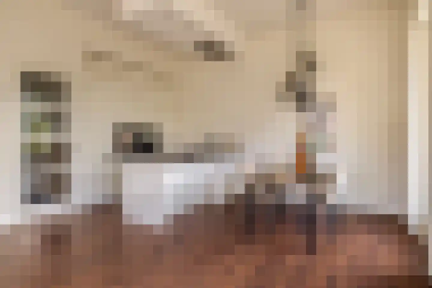 van den Binckhorststraat 2 's-Gravenzande thumbnail 4