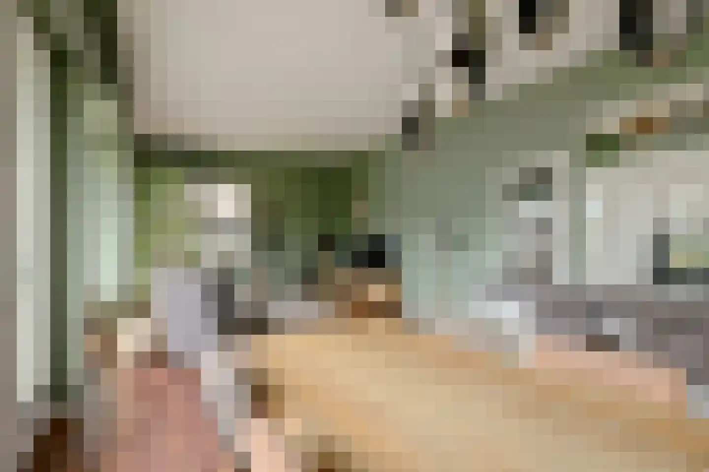 van den Binckhorststraat 2 's-Gravenzande thumbnail 5