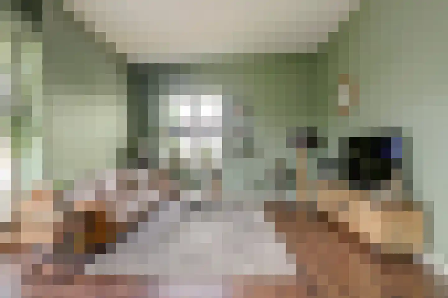van den Binckhorststraat 2 's-Gravenzande thumbnail 6