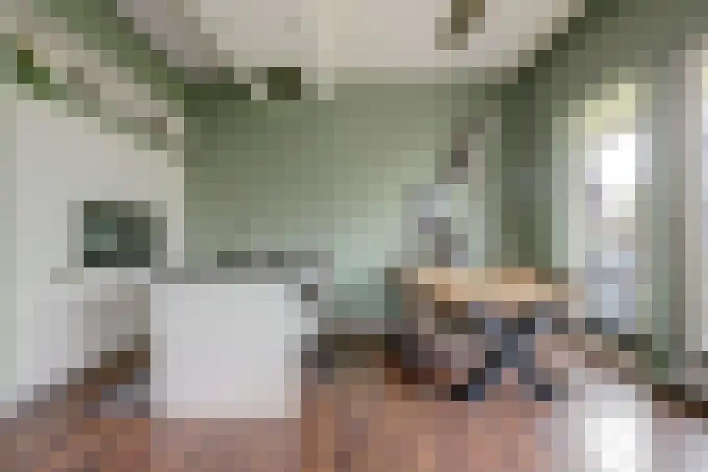 van den Binckhorststraat 2 's-Gravenzande thumbnail 7