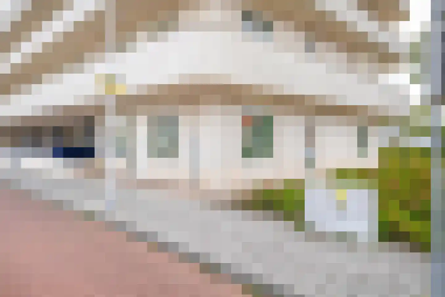 van den Binckhorststraat 2 's-Gravenzande thumbnail 7