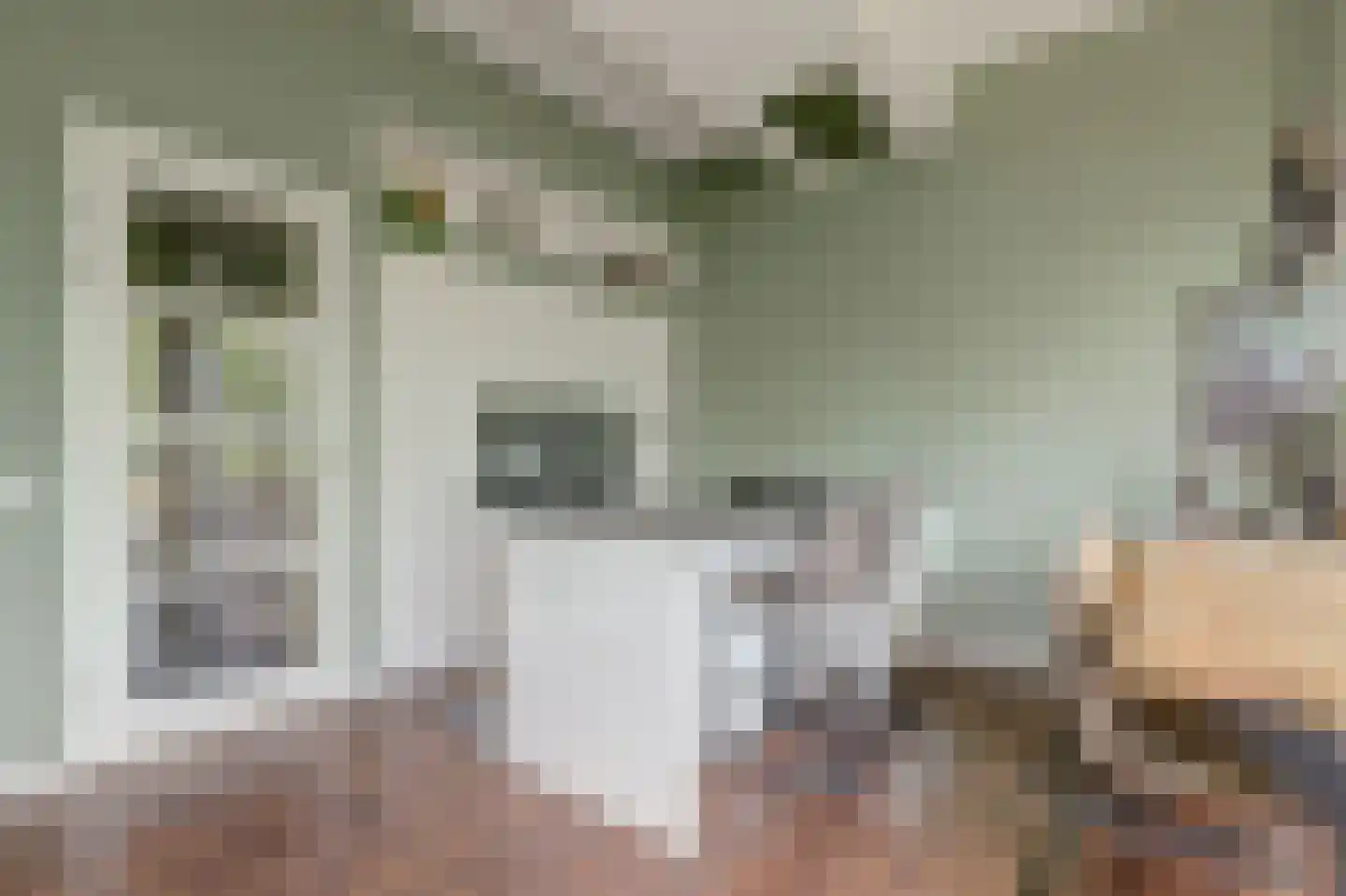van den Binckhorststraat 2 's-Gravenzande thumbnail 8