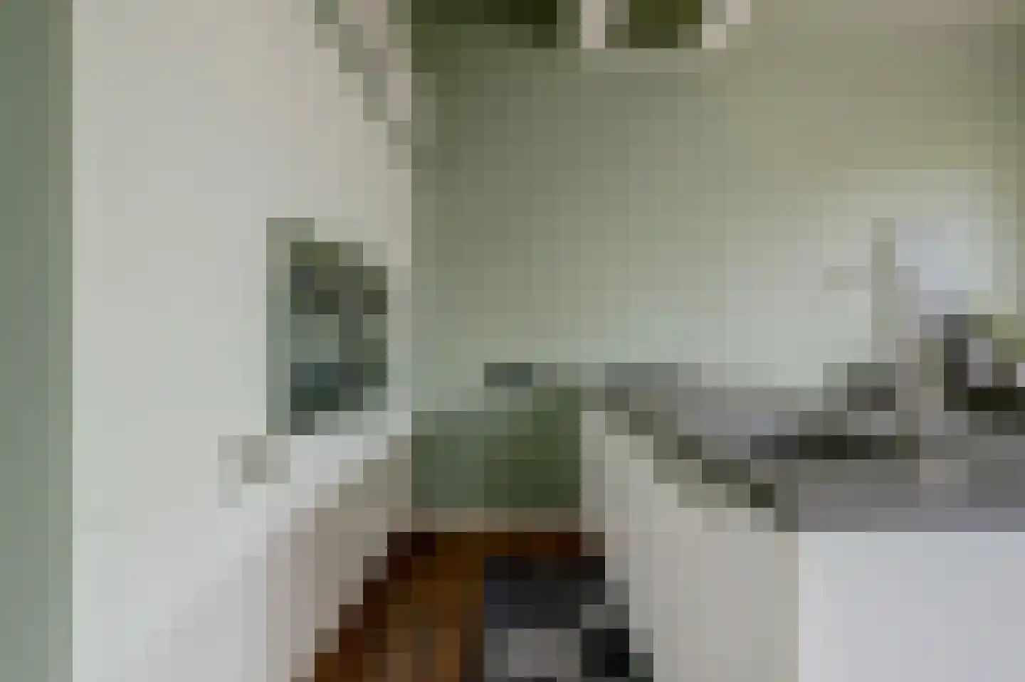 van den Binckhorststraat 2 's-Gravenzande thumbnail 9