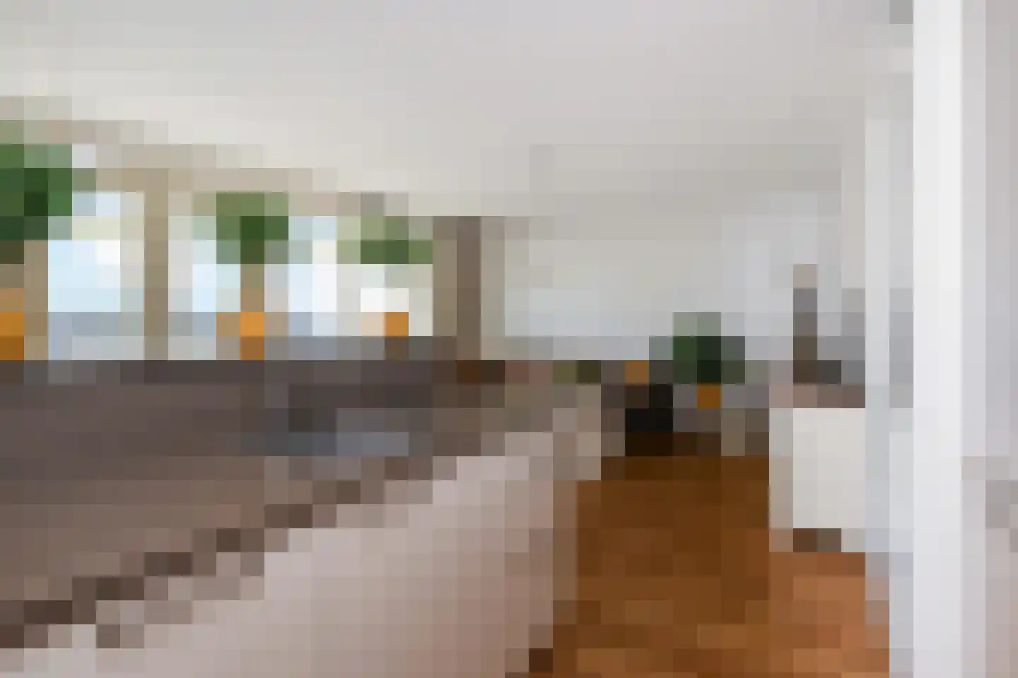 van den Binckhorststraat 36 's-Gravenzande thumbnail 12