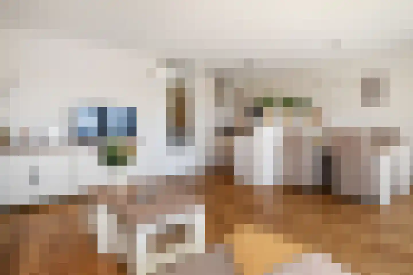 van den Binckhorststraat 36 's-Gravenzande thumbnail 8