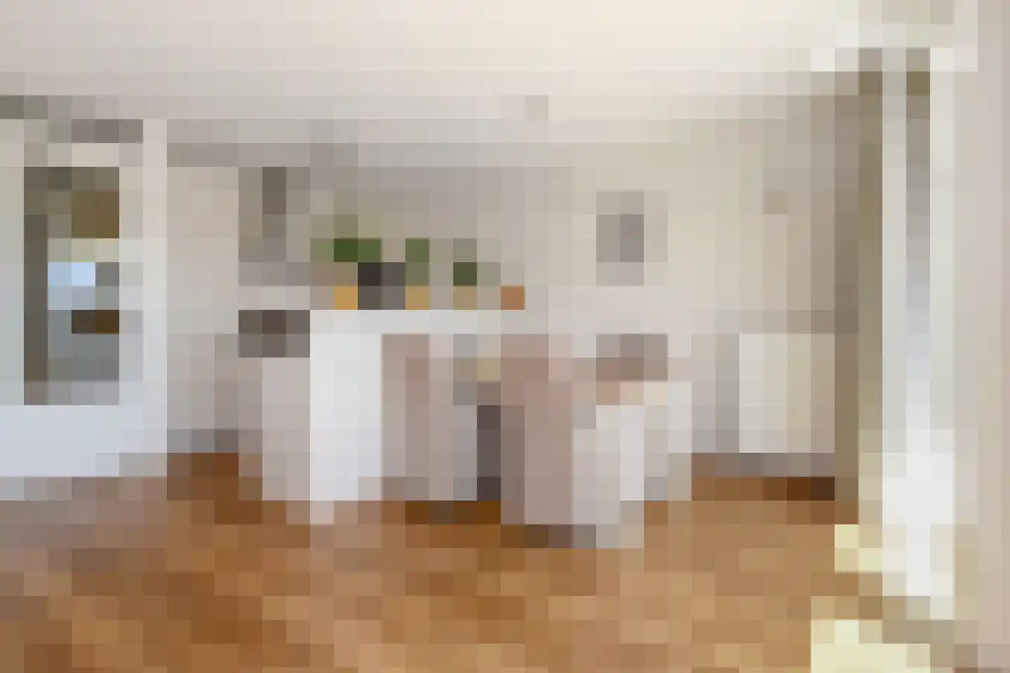 van den Binckhorststraat 36 's-Gravenzande thumbnail 9