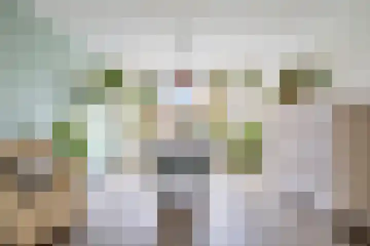 Van Den Boetzelaarstraat 50 Haelen thumbnail 13