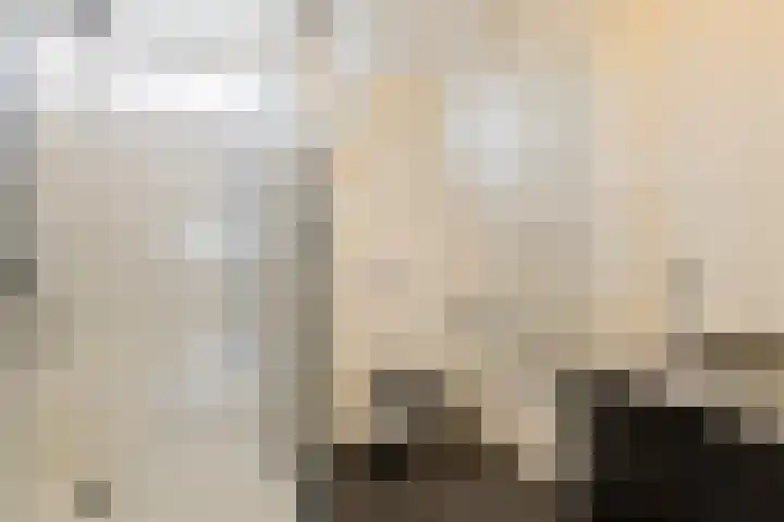 Van Den Boetzelaarstraat 50 Haelen thumbnail 21