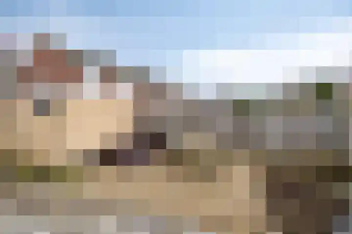Van Den Boetzelaarstraat 50 Haelen thumbnail 30