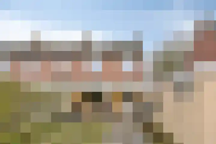 Van Den Boetzelaarstraat 50 Haelen thumbnail 31