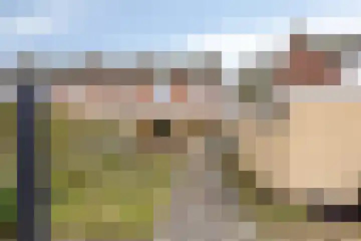 Van Den Boetzelaarstraat 50 Haelen thumbnail 32