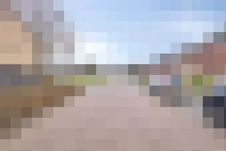 Van Den Boetzelaarstraat 50 Haelen thumbnail 35