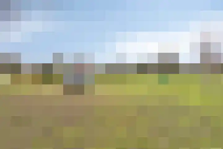 Van Den Boetzelaarstraat 50 Haelen thumbnail 37