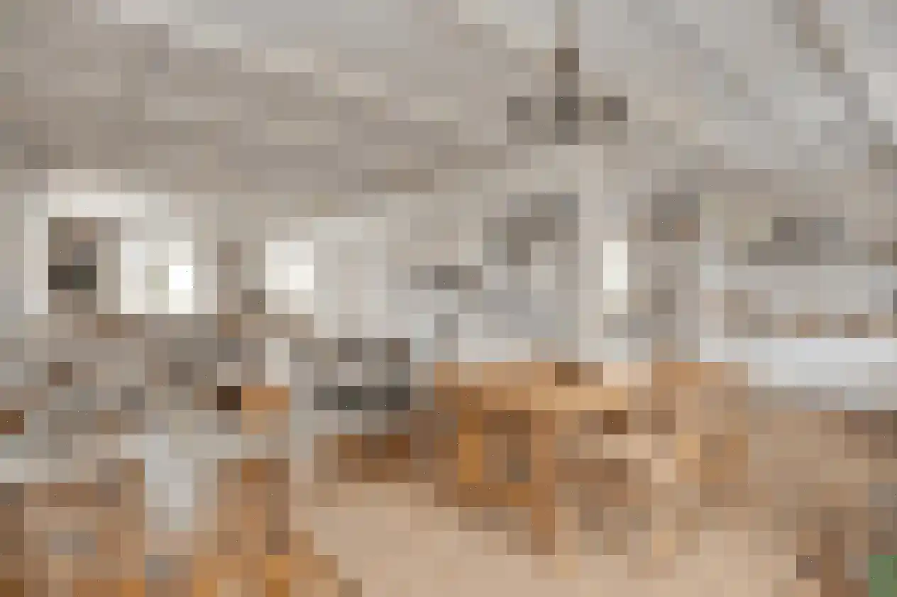 Van Den Boetzelaarstraat 7 Haelen thumbnail 16