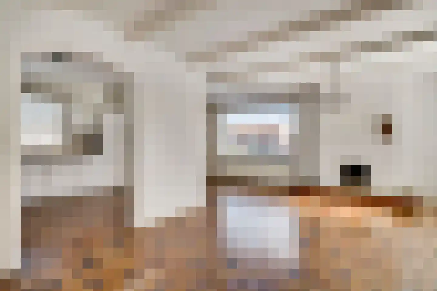 Van Den Boetzelaarstraat 7 Haelen thumbnail 17