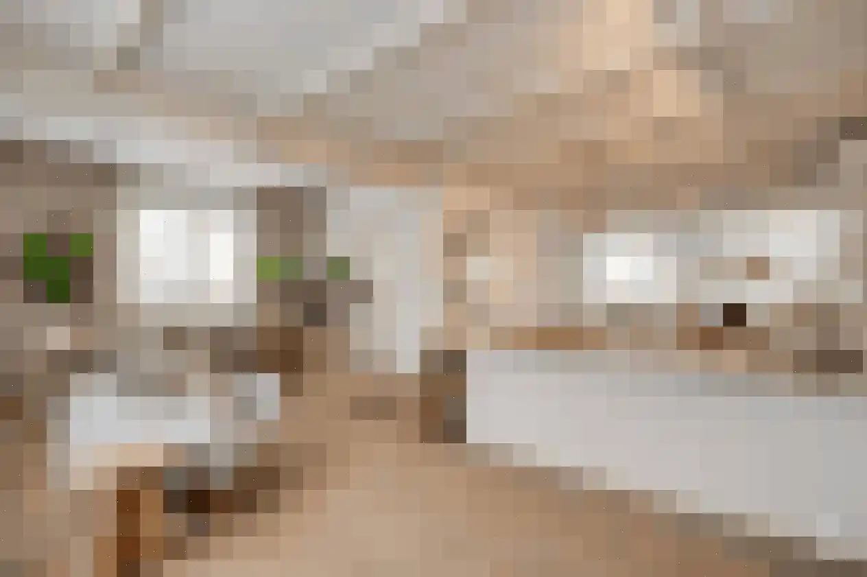 Van Den Boetzelaarstraat 7 Haelen thumbnail 22