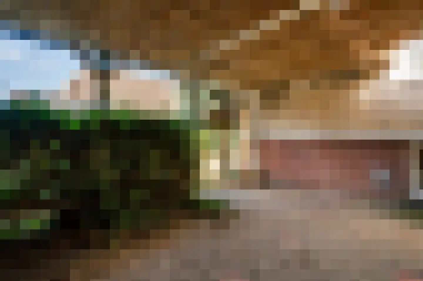 Van Den Boetzelaarstraat 7 Haelen thumbnail 35
