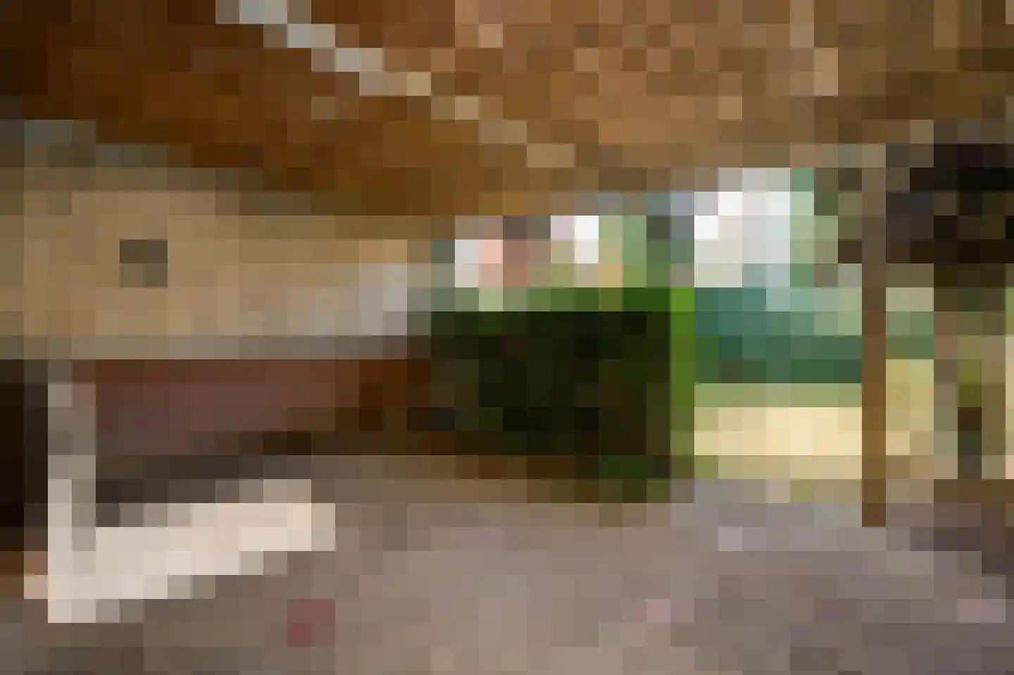 Van Den Boetzelaarstraat 7 Haelen thumbnail 36