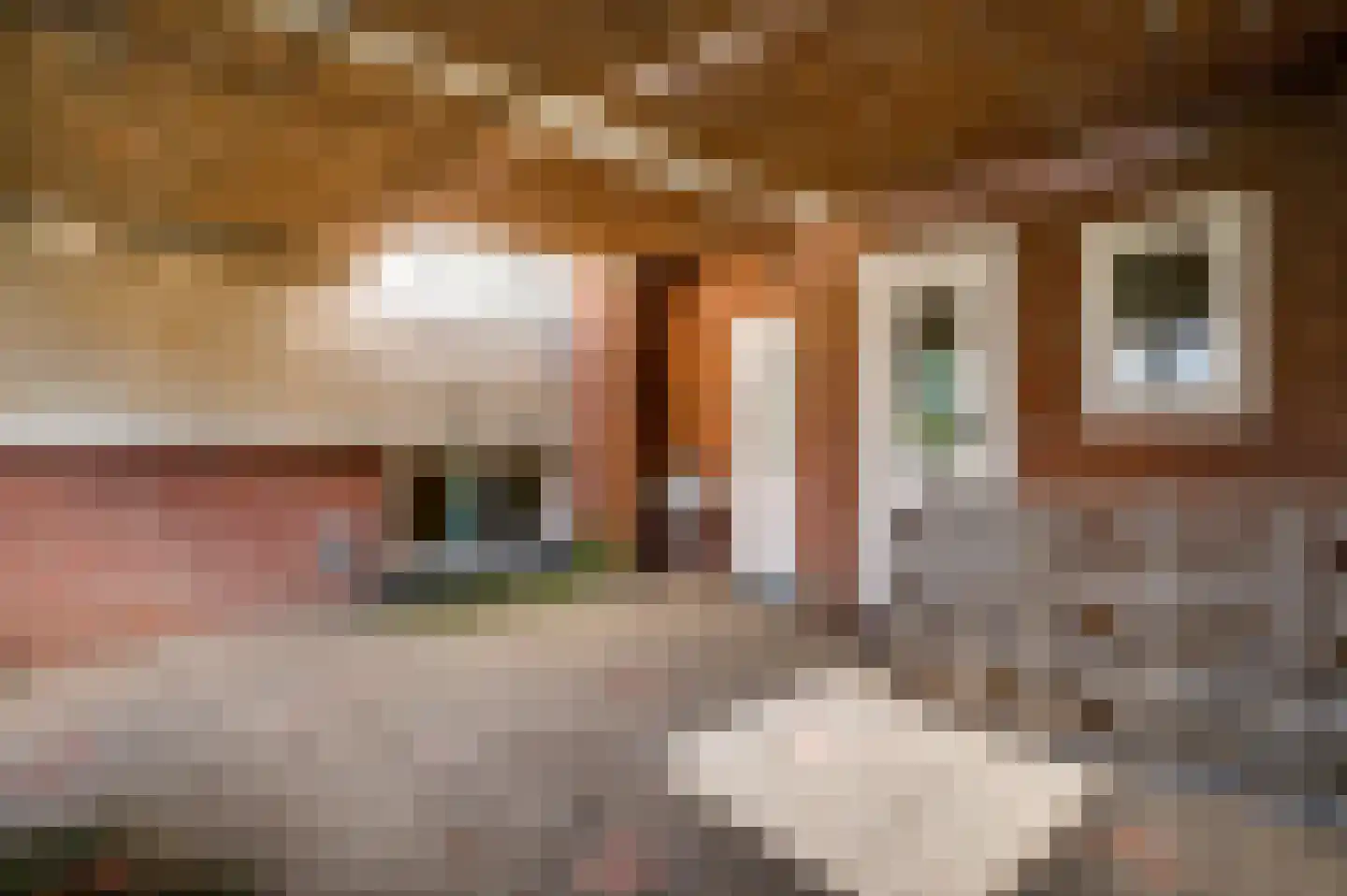 Van Den Boetzelaarstraat 7 Haelen thumbnail 37