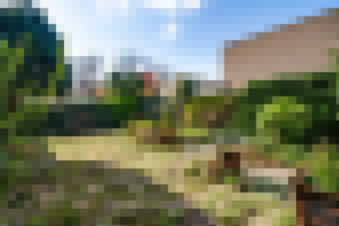 Van Den Boetzelaarstraat 7 Haelen thumbnail 41