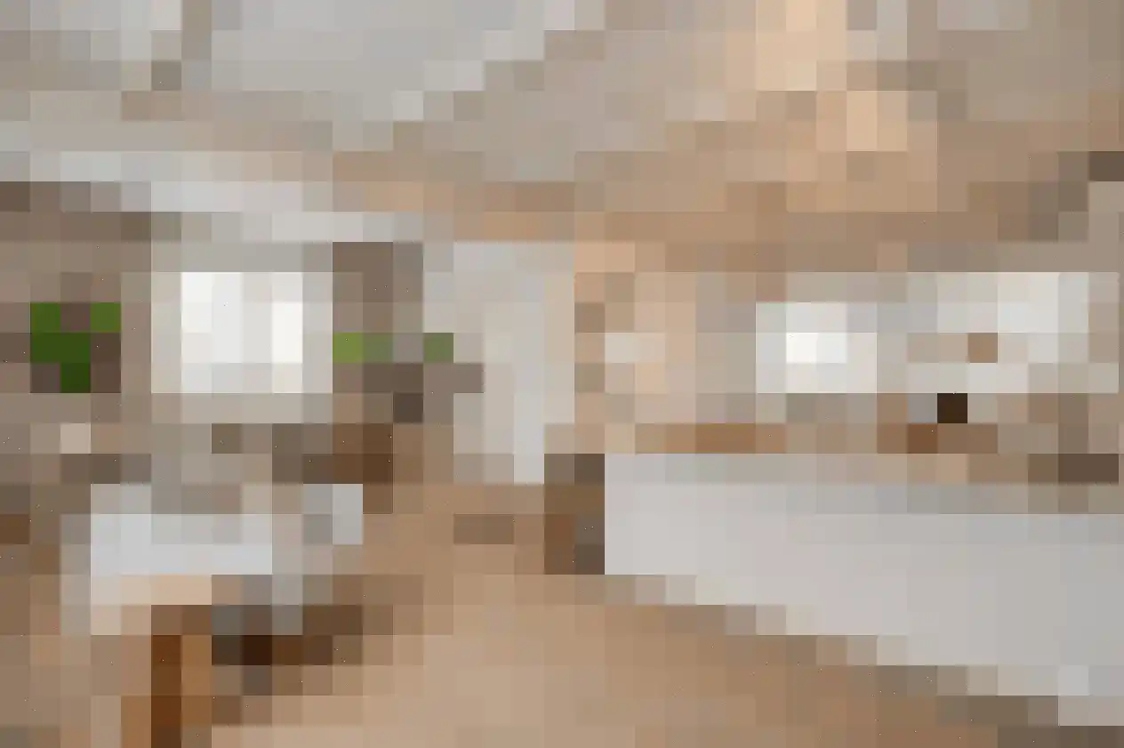 Van Den Boetzelaarstraat 7 Haelen thumbnail 48