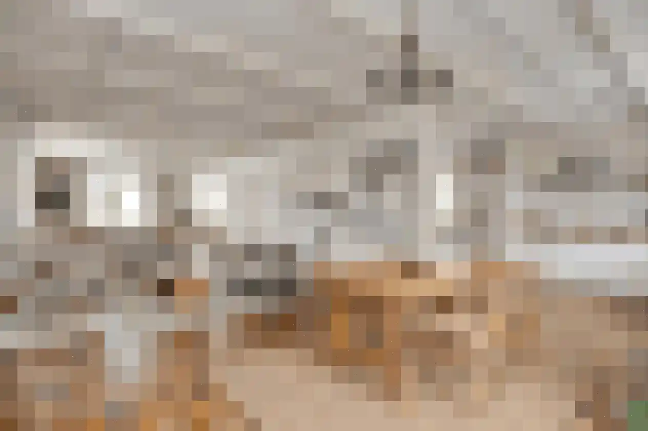 Van Den Boetzelaarstraat 7 Haelen thumbnail 50