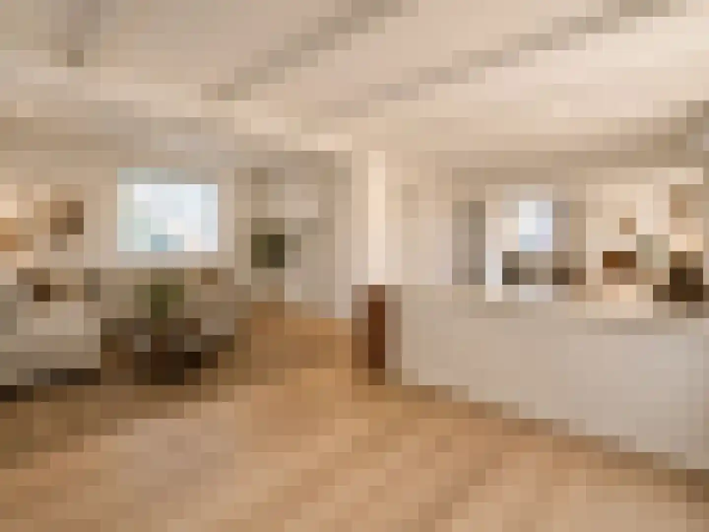 Van Den Boetzelaarstraat 7 Haelen thumbnail 52