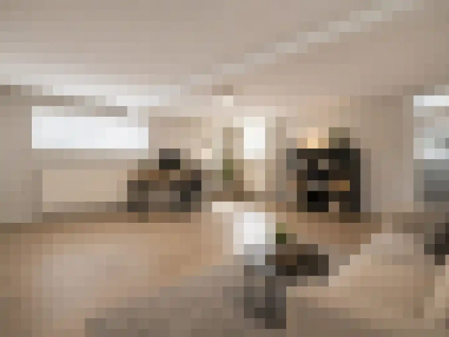 Van Den Boetzelaarstraat 7 Haelen thumbnail 53