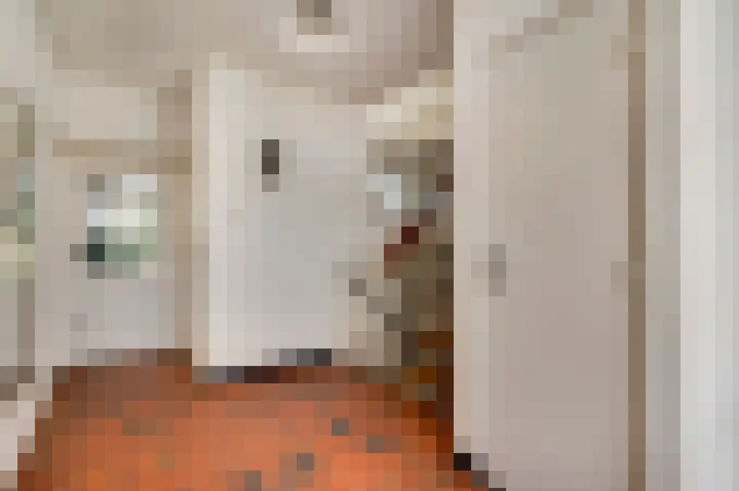 Van Den Boetzelaarstraat 7 Haelen thumbnail 9