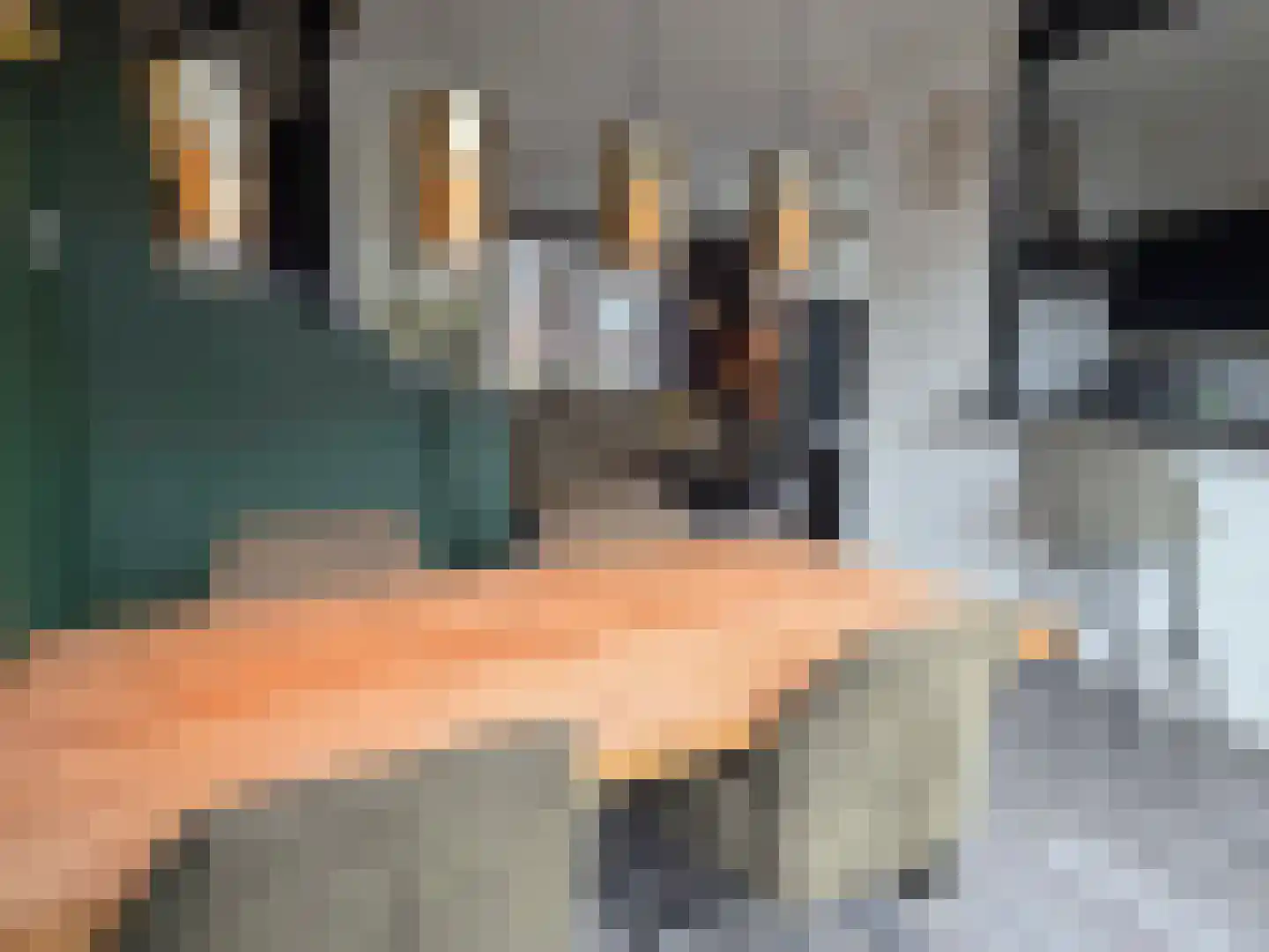 van den Boetzelaerlaan 1 Coevorden thumbnail 17