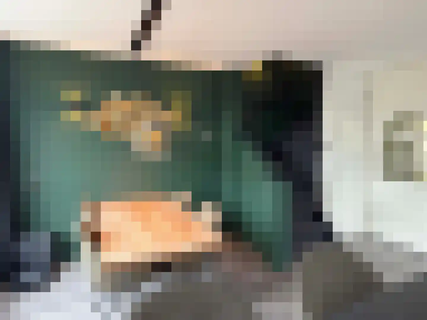 van den Boetzelaerlaan 1 Coevorden thumbnail 18