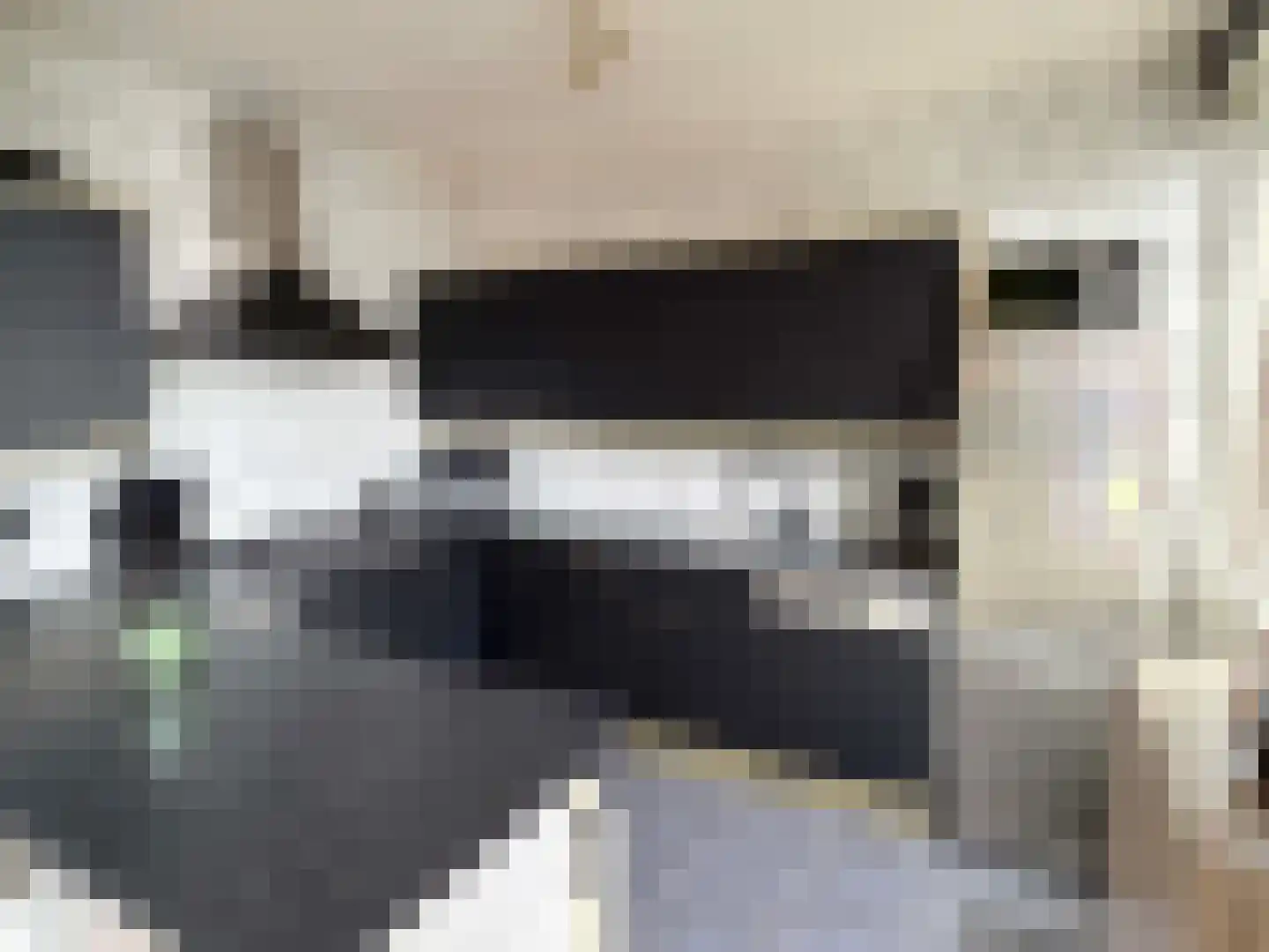 van den Boetzelaerlaan 1 Coevorden thumbnail 19
