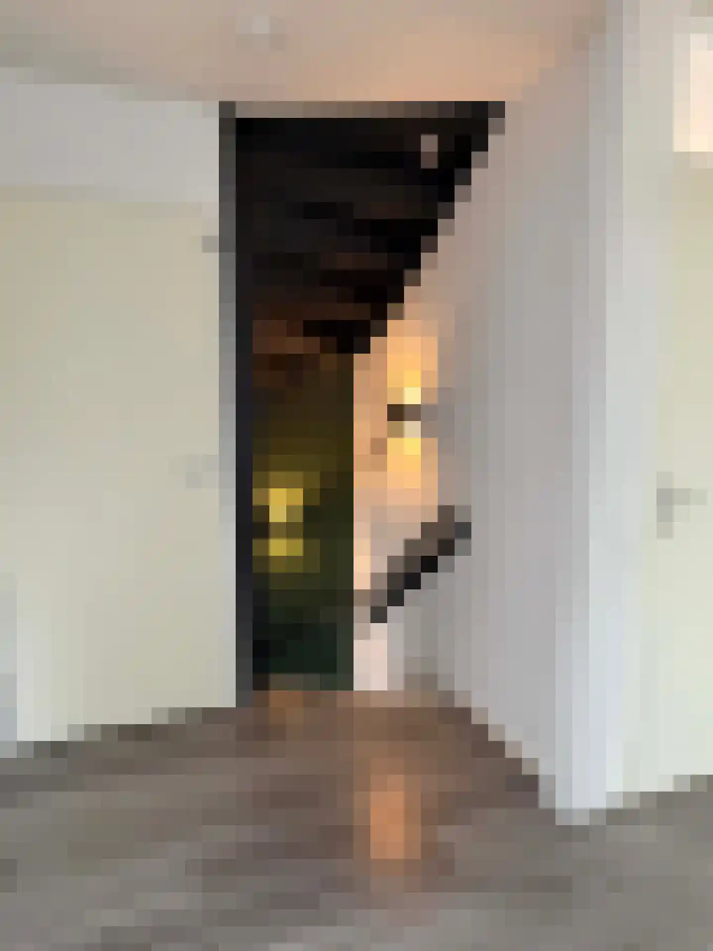 van den Boetzelaerlaan 1 Coevorden thumbnail 21