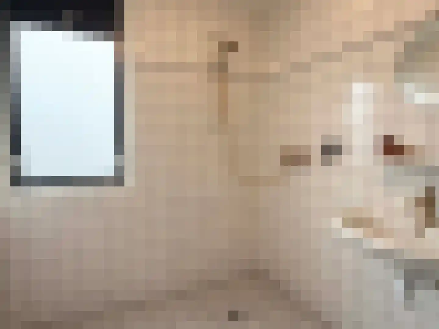 van den Boetzelaerlaan 1 Coevorden thumbnail 23