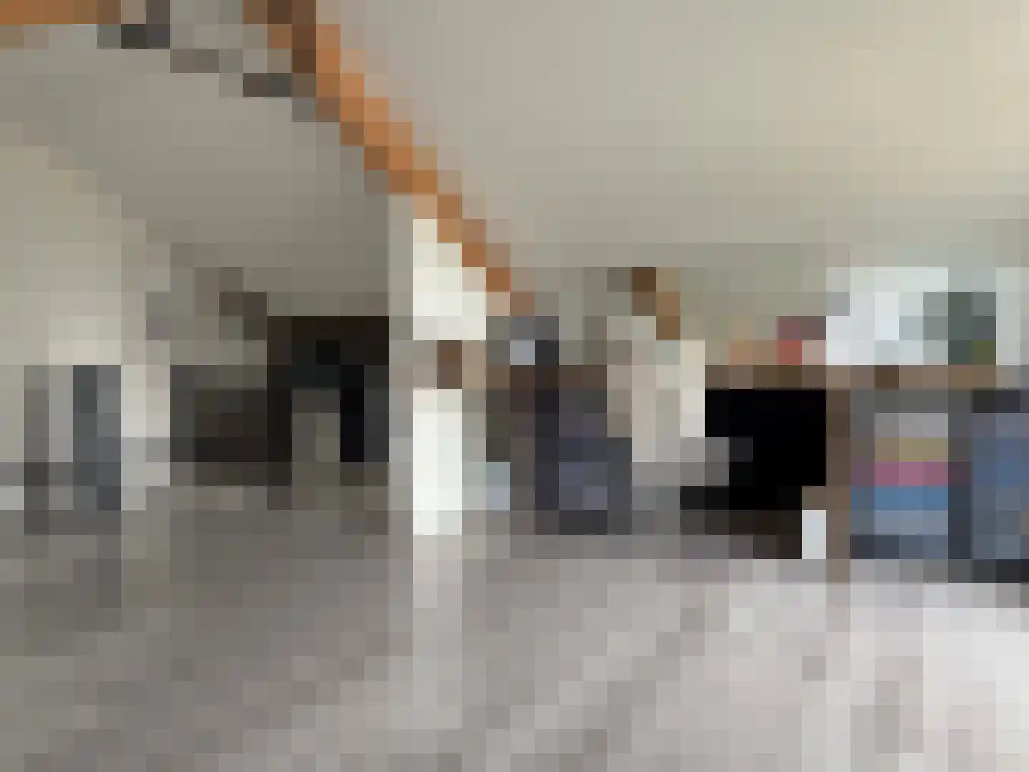 van den Boetzelaerlaan 1 Coevorden thumbnail 28