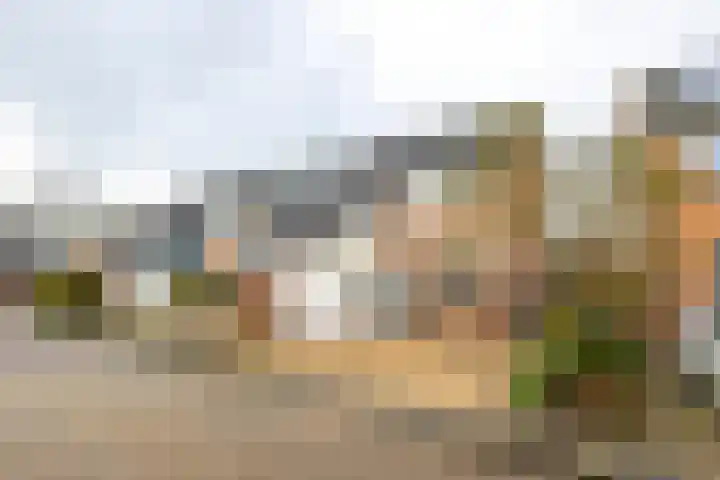 Van den Boetzelaerlaan 47 in Langerak