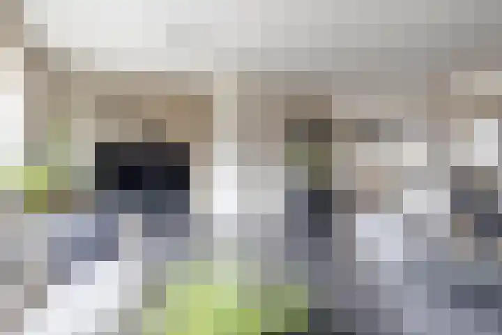 Van den Boetzelaerlaan 47 Langerak thumbnail 10