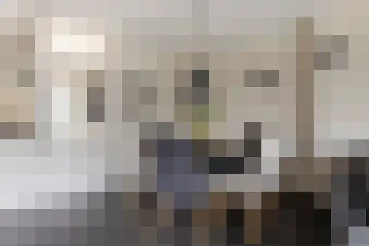 Van den Boetzelaerlaan 47 Langerak thumbnail 12