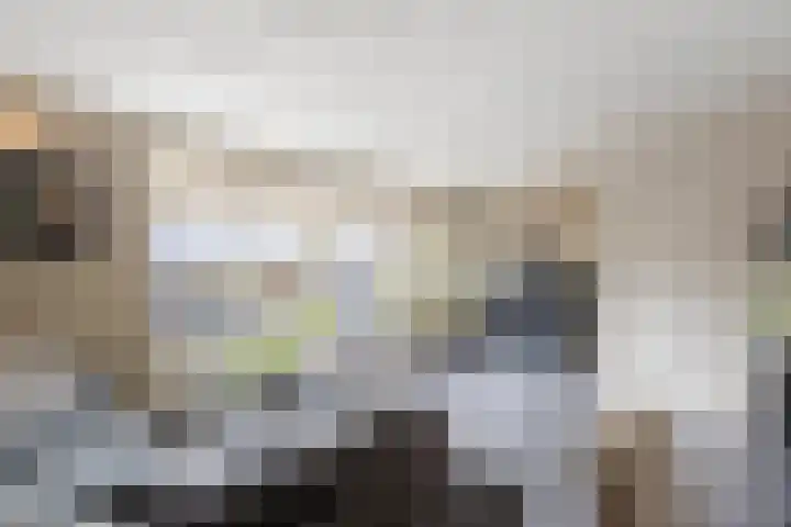 Van den Boetzelaerlaan 47 Langerak thumbnail 13