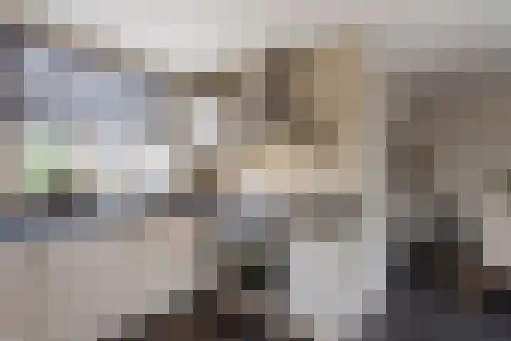 Van den Boetzelaerlaan 47 Langerak thumbnail 15