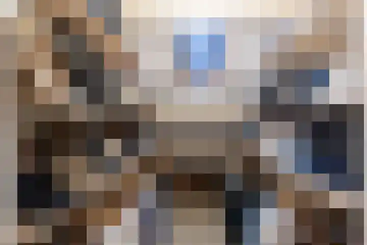 Van den Boetzelaerlaan 47 Langerak thumbnail 18