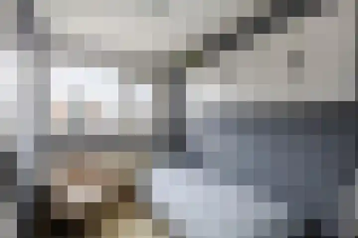 Van den Boetzelaerlaan 47 Langerak thumbnail 20