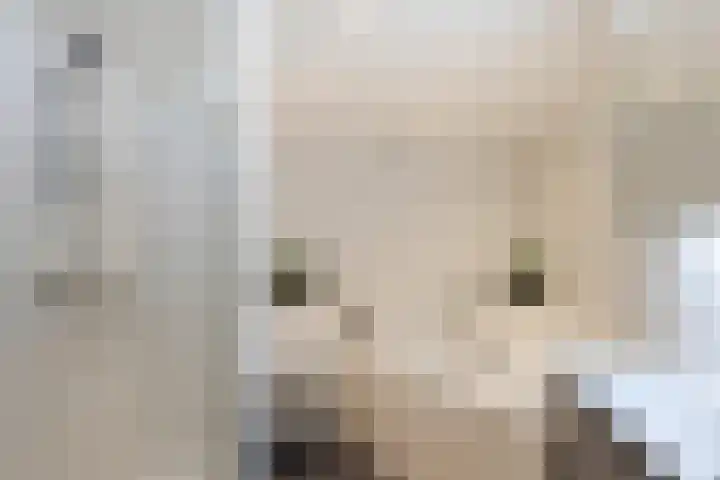 Van den Boetzelaerlaan 47 Langerak thumbnail 22