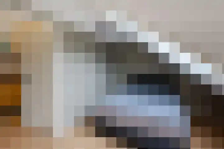 Van den Boetzelaerlaan 47 Langerak thumbnail 26