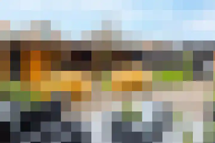 Van den Boetzelaerlaan 47 Langerak thumbnail 28