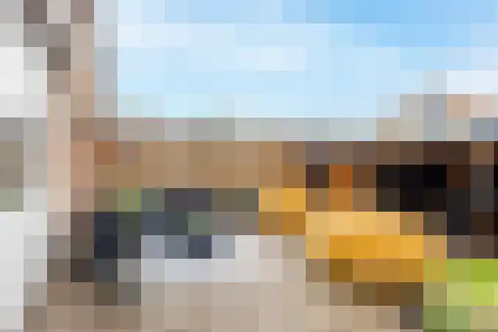 Van den Boetzelaerlaan 47 Langerak thumbnail 29