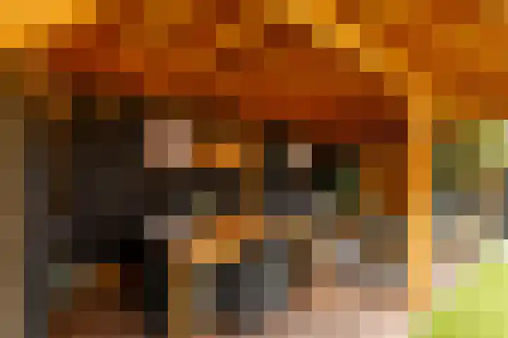 Van den Boetzelaerlaan 47 Langerak thumbnail 30
