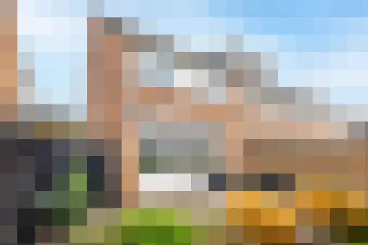 Van den Boetzelaerlaan 47 Langerak thumbnail 32